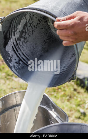 Ein Arbeiter in der Molkerei ist frische Milch in den Tank schütten sie den Store vorzubereiten. Stockfoto