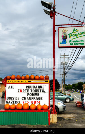 Halloween und Kürbis Saison in Quebec Eastern Townships, Kanada Stockfoto