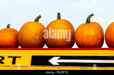 Halloween und Kürbis Saison in Quebec Eastern Townships, Kanada Stockfoto