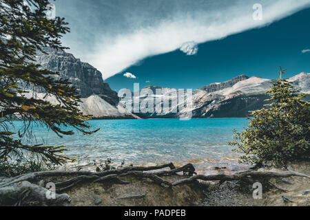 Blick über Bow Lake, Banff National Park, Kanada Stockfoto