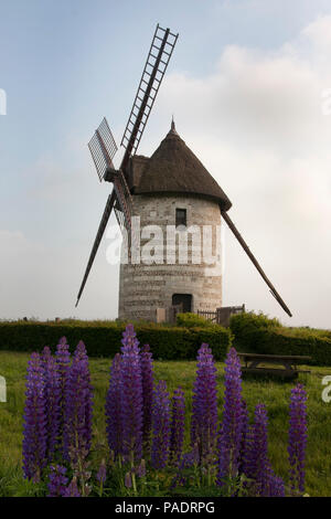 La Moulin de Pierre, eine restaurierte Windmühle mit Segel, Castellane, Calvados, Basse-Normandie, Normandie, Frankreich Stockfoto