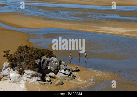 Luftaufnahme von Strand, Abel Tasman National Park, Neuseeland Stockfoto