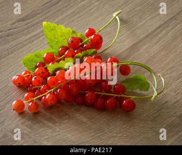 Frisch rote Johannisbeeren gepflückt. Stockfoto