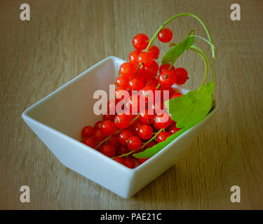 Frisch rote Johannisbeeren gepflückt. Stockfoto