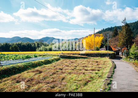 Ohara Landschaft Dorf Blick in die Natur in Kyoto, Japan Stockfoto