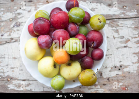 Aprikosen/Marillen, Äpfel, Mirabelle, grüne Pflaumen (UME) und Pflaumen. Sommer Früchte an der Platte. Stockfoto