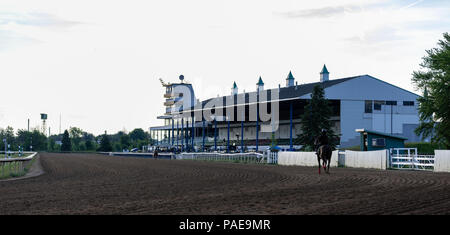 Am frühen Morgen Training in Fort Erie Rennstrecke in der Woche vor dem Prince of Wales Stakes. Stockfoto