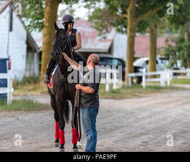 Am frühen Morgen Training in Fort Erie Rennstrecke in der Woche vor dem Prince of Wales Stakes. Stockfoto