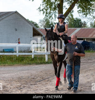 Am frühen Morgen Training in Fort Erie Rennstrecke in der Woche vor dem Prince of Wales Stakes. Stockfoto