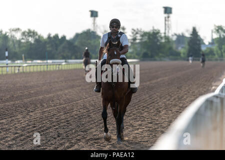 Am frühen Morgen Training in Fort Erie Rennstrecke in der Woche vor dem Prince of Wales Stakes. Stockfoto