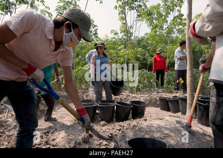 U.S. Army Staff Sgt. Samantha Brenneman, ein Augmented eingesetzten Personals durch die Verteidigung POW/MIA Accounting Agentur (DPAA) als Recovery noncommissioned Officer, Center, arbeitet mit lokalen Arbeitnehmer an einer Ausgrabungsstätte Tay Ninh Provinz, Vietnam, Jan. 16, 2016. Brenneman ist einer Leichenhalle Angelegenheiten Spezialist von Joint Base Lewis-McChord, Washington bereitgestellt, und ist Teil eines Recovery Team auf der Suche nach zwei Service Mitglieder in einer L-19 Flugzeugabsturz im Jahr 1967 verloren. Die DPAA Mission ist die möglichst vollständige Buchhaltung für unsere fehlenden Personal zu ihren Familien und der Nation zu stellen. (DoD Foto von Tech. Sgt. Ka Stockfoto