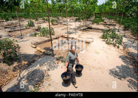 U.S. Army Staff Sgt. Samantha Brenneman, Verteidigung POW/MIA Accounting Agentur (DPAA) augmented Recovery noncommissioned Officer, bewegt sich Eimer Schmutz an einer Ausgrabungsstätte in Tay Ninh Provinz, Vietnam, Jan. 26, 2016. Brenneman ist einer Leichenhalle Angelegenheiten Spezialisten der 2. Brigade Support Brigade Bataillon zugeordnet, 2 Stryker Brigade Combat Team, 2 Infanterie Division bei Joint Base Lewis-McChord, Washington stationiert, sie ist ein Teil von einem spezialisierten Team von DPAA auf der Suche nach zwei Service Mitglieder in einer L-19 Flugzeugabsturz im Jahre 1967 verloren im Einsatz. Die DPAA Mission ist die möglichst vollständige Buchhaltung zur Verfügung zu stellen Stockfoto