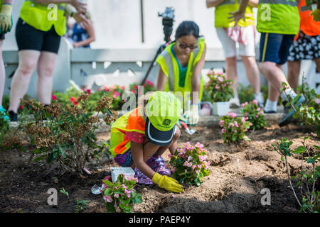 Kya Murphey ab der Ernte Gruppe Pflanzen Blumen in Abschnitt 46 der Arlington National Cemetery, Arlington, Virginia, 16. Juli 2018. Über 400 freiwillige Landschaft Fachleute in der Nationalen Vereinigung der Landschaft Professionals' 22. jährliche Erneuerung teilgenommen und Erinnerung Veranstaltung auf dem Arlington National Cemetery. Freiwillige kohlensäurehaltiges Rasen, Blumen gepflanzt, Bewässerung Rohre, und installierte Beleuchtung Schutz auf mehreren Bäumen. (U.S. Armee Foto von Elizabeth Fraser/Arlington National Cemetery/freigegeben) Stockfoto