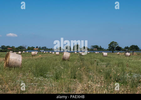 Landschaft Hintergrund von gerollt Heu Ballen in einem ländlichen Gebiet. Stockfoto