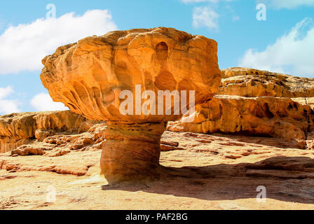 Stein Pilz in park Thimna (speichern Zaren Solomon) in der Nähe von Eilat. Stockfoto