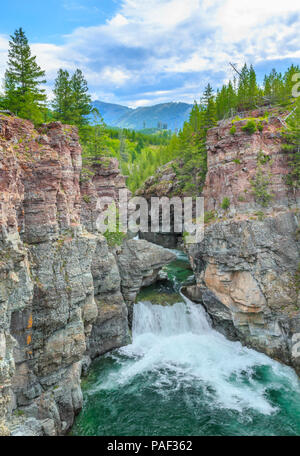 Wasserfall an der North Fork Blackfoot River in der Sündenbock Wüste, Montana Stockfoto