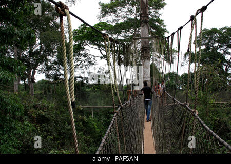 Touristen die Erkundung der oberen Ebene der Regenwald bei einem Spaziergang über Hängebrücken der Canopy Walkway an den Kakum National Park, Ghana Stockfoto