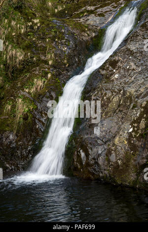 Wasserfall an der Afon Dulyn in der Nähe von Tal-y-bont, Conwy, North Wales, UK. Stockfoto