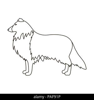 Collie Symbol in der gliederungsansicht Stil auf weißem Hintergrund. Hunderassen symbol Vektor Illustration. Stock Vektor