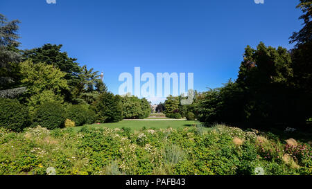 Weitwinkelaufnahme der Sommer im Parco Sempione Mailand, Lombardei, Italien Stockfoto