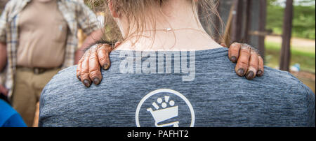 Junge Frau mit Schimpansen (Pan troglodytes) Hände ihre Schultern halten. Ganta Liberia Stockfoto