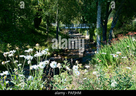 Der Sonnenbeschienenen Holzsteg Kreuze über eine gespiegelte Brennen fließt über Braun gefleckten Felsen auf dem Weg zu blühenden Blumen und Orchideen im Sonnenschein Stockfoto