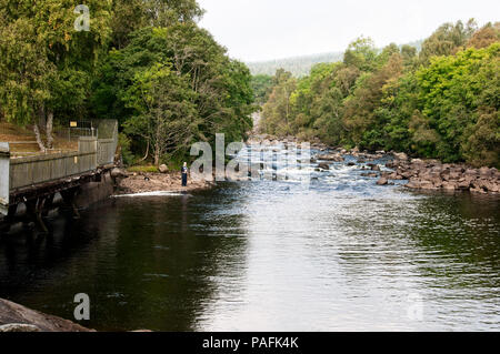 Der Fluss Tummel fließt rund ein Weg von Nebel umgeben von Pinien über Felsen zu bilden schäumenden Wirbel vor Erreichen einer einsamen angler Bend Stockfoto