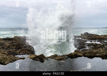 Eine Welle Absturz aus Thor's Gut in Cape Perpetua felsigen Landzunge, Wahrzeichen der wilden Küste von Oregon, USA. Stockfoto