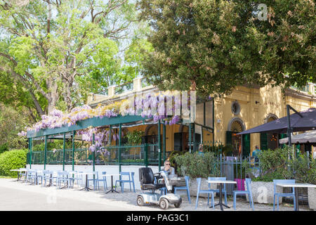 Paradiso Restaurant, Giardini Pubblici, oder öffentliche Gärten, Castello, Venice, Italien im Frühjahr in Blüte lila Wisteria abgedeckt. Mann mit Mobilität s Stockfoto