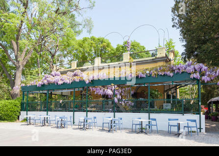 Das beliebte Restaurant Paradiso, Giardini Pubblici, oder öffentliche Gärten, Castello, Venedig, Venetien, Italien im Frühjahr in lila Wisteria abgedeckt Stockfoto