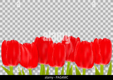 Bouquet von roten Tulpen mit Platz für Grußansage. Muttertag, Frauentag und Frühling Hintergrund Konzept. Vector Illustration. Stock Vektor