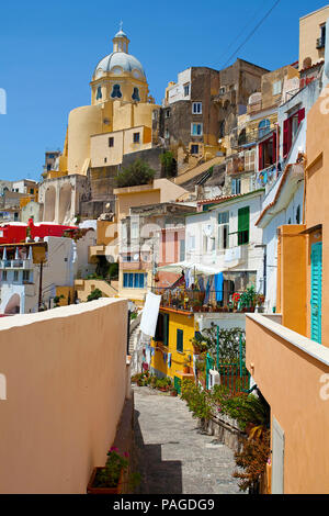 Das idyllische Fischerdorf Procida mit Kirche Chiesa della Madonna delle Grazie, Golf von Neapel, Italien Stockfoto