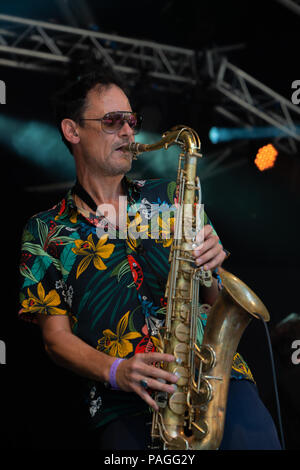 Dorset, Großbritannien. 22. Juli 2018. Lamer Baum festivalNadin Sahah auf dem Rasen an Lamer Tree Festival, Kredit: Guy Peterson. Credit: Guy Peterson/Alamy Live News Credit: Guy Peterson/Alamy leben Nachrichten Stockfoto