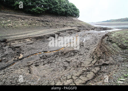 Lancashire, UK. 21. Juli 2018. Der Behälter ist jetzt zeigt sehr niedrige Niveaus durch eine anhaltende trockene Periode, und ist hier nach 2 Tagen Regen gezeigt. United Utilities, die den Behälter selbst beabsichtigen, eine Schlauchleitung Verbot vom 5. August 2018 einzuführen. Den Behälter liefert Liverpool über eine Reihe von Stauseen im Rivington, zuletzt verwendete Wasser für Hubschrauber Kämpfen der Winter Hill Brände zu liefern. Die Brücke gezeigt wird, ist der Abgleich Brücke überspannt den Fluss Schafgarbe, die normalerweise durch sie in den Behälter fließen. Credit: Phil Taylor/Alamy leben Nachrichten Stockfoto