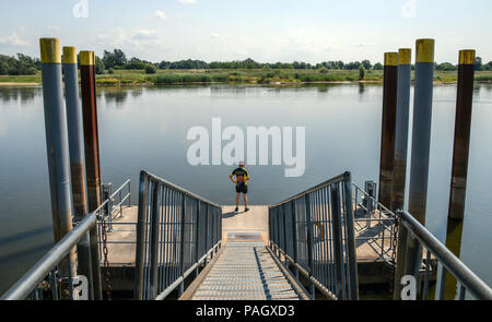 23. Juli 2018, Deutschland, Lebus: Die wasserstände der deutsch-polnischen Grenze oder aussergewöhnlich niedrig, rund 110 cm an der Messstation in Frankfurt/Oder. Foto: Patrick Pleul/dpa-Zentralbild/dpa Stockfoto