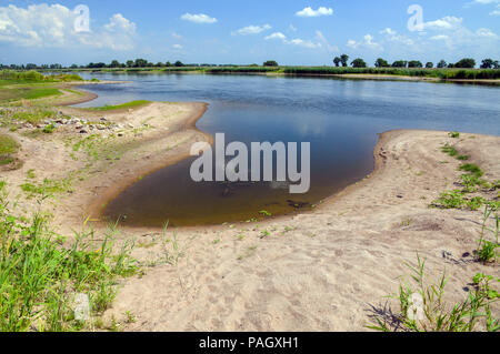 23. Juli 2018, Deutschland, Kuestrin-Kietz: Große sandbenches treten als die Wasserstände von der deutsch-polnischen Grenze oder aussergewöhnlich niedrig, rund 110 cm an der Messstation in Frankfurt/Oder. Foto: Patrick Pleul/dpa-Zentralbild/dpa Stockfoto