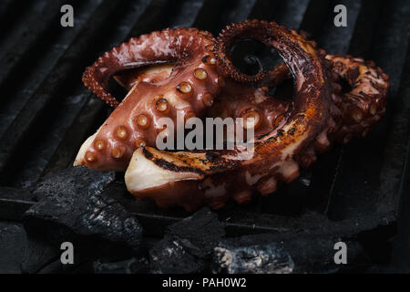 Gegrillte Tintenfische auf dem Grill in der Nähe bis Stockfoto