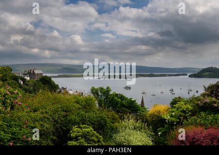 Hilltop Garden View von Tobermory harbour Isle of Mull mit Kalben Insel im Sound von Mull Schottland Großbritannien Stockfoto