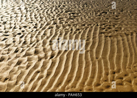 Textur von gelbem Sand Strand der Ostsee nach der Flut an einem sonnigen Herbsttag Stockfoto