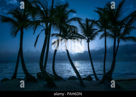 Schönen Vollmond auf dem ruhigen Wasser von einem tropischen Strand mit Palmen wider Stockfoto