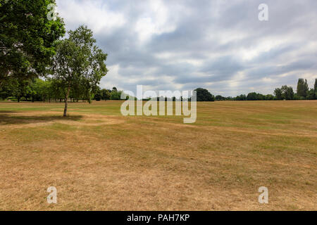 Ausgetrocknete Gras wird Braun während eines heißen Sommers in Danson Park, Bexleyheath, London, UK Stockfoto