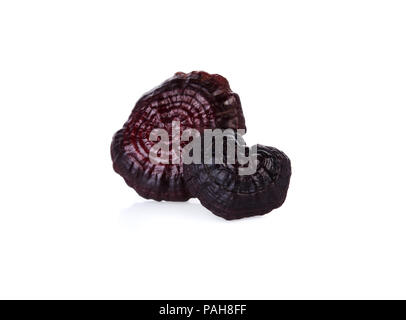 Getrocknete Lingzhi Pilzen, reishi Pilze auf weißem Hintergrund Stockfoto