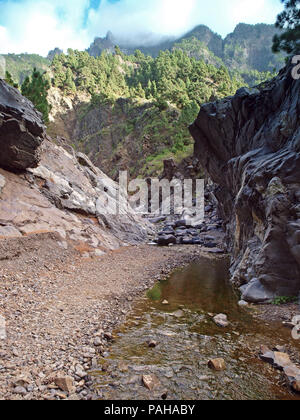 Fluss innerhalb der Caldera de Taburiente auf der Kanarischen Insel La Palma Stockfoto