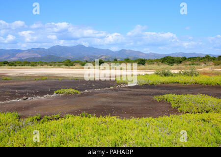 Kuba - Ancon Halbinsel Ebenen und Sümpfen. Landschaft in der Nähe von Trinidad. Stockfoto