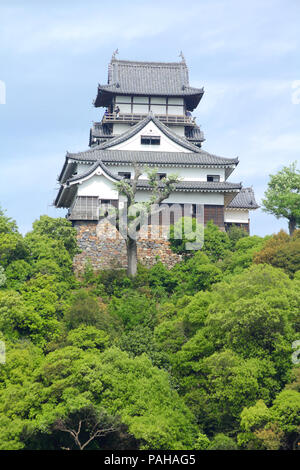 Inuyama, Japan - Stadt in Aichi prefeture der Region Chubu. Inuyama jo Burg. Stockfoto