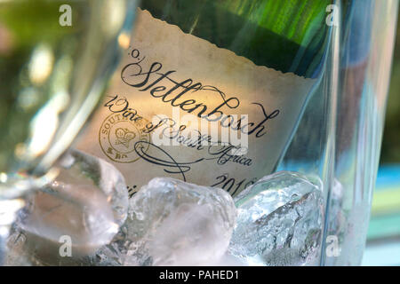 Stellenbosch Südafrika Weißwein Sauvignon Blanc Flasche in Ice Cooler mit Wein Glas im sonnigen Alfresco Garten Lage Stockfoto