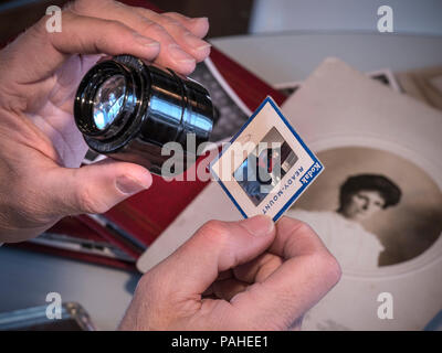 Alte Familienfotos Mann Sortierung durch die historische Familie Ephemera, Dokumente, Fotoalben und Farbfolien mit eye Glas Lupe Stockfoto