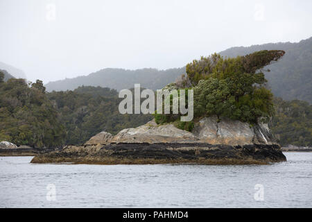 Dusky Sound Landschaft, Fjordland, Neuseeland Stockfoto