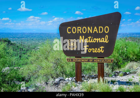 Hinweisschild für die Coronado National Forest, US-Landwirtschaftsministerium, mit Saguaro Kakteen auf Catalina und Mt Lemmon Highway, in der Nähe von Tucson, AZ, USA Stockfoto