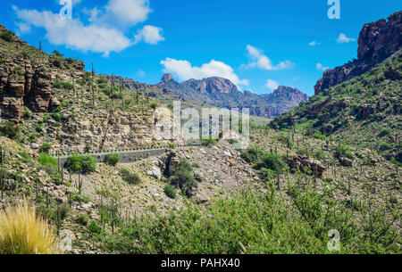 Blick auf den Mt. Der Lemmon Highway durchschneidet Granitfelsen mit einer Reihe von saguaro-Kakteen im Coronado National Forest, in der Nähe von Tucson, AZ, USA Stockfoto